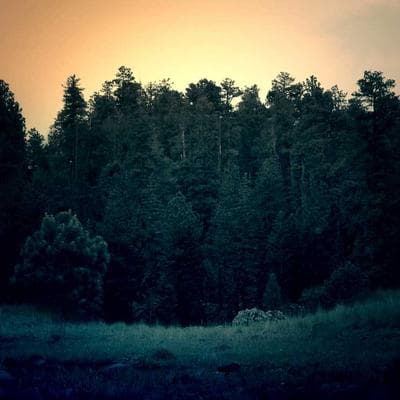 Silver Helm Cavalry ×5