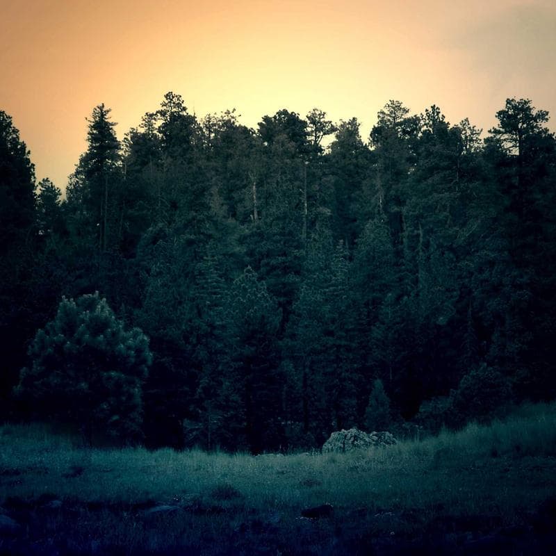 Silver Helm Cavalry ×5