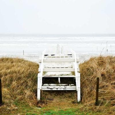 Chapter Banner Bearer