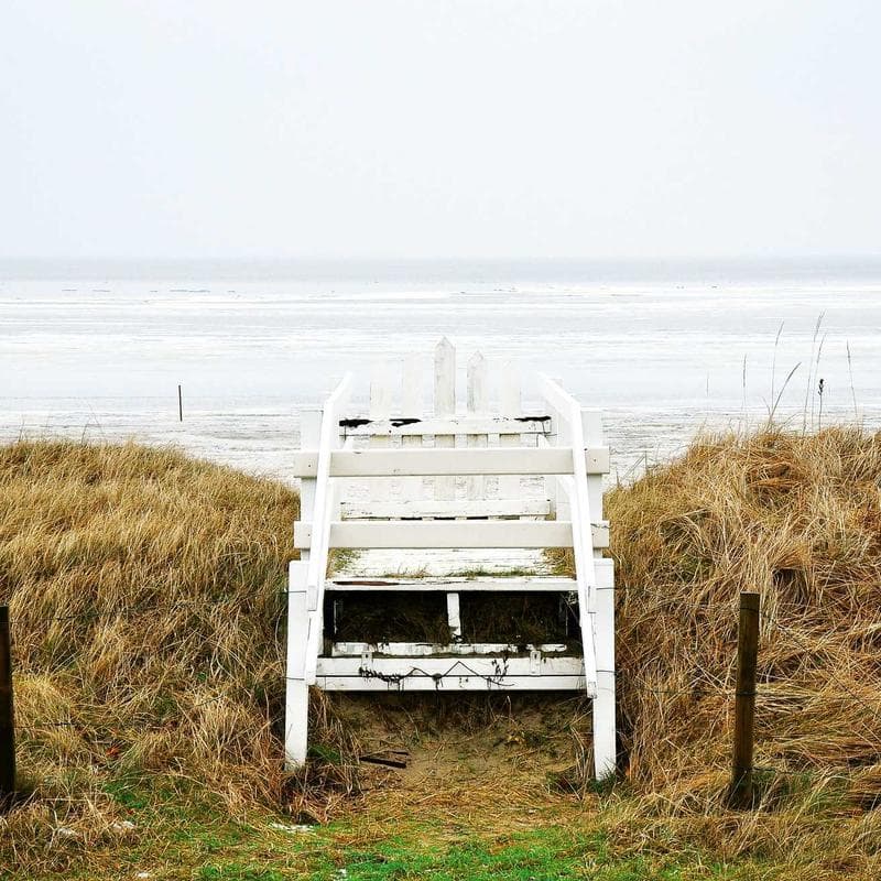 Chapter Banner Bearer