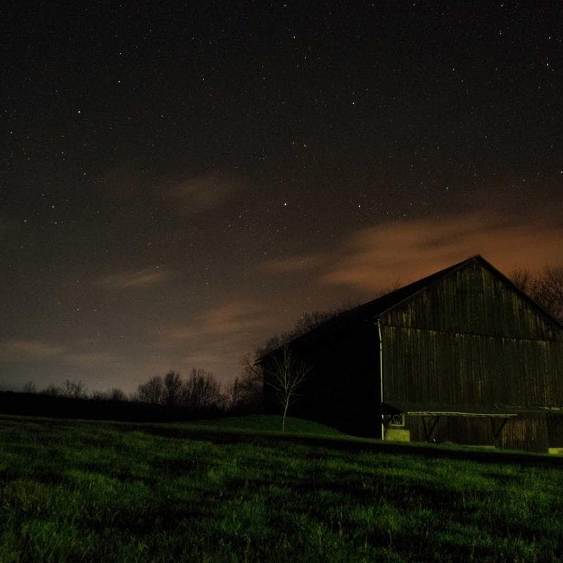 Nob with Waaagh Banner