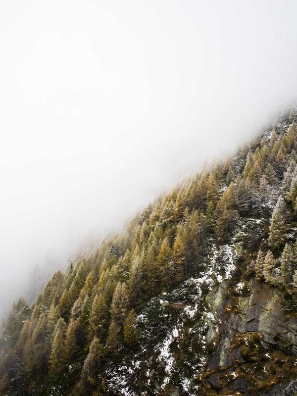 Kratos & Atreus Diorama