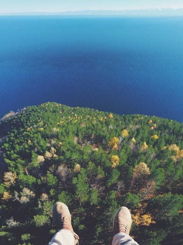 Predator Trophy Wall Diorama