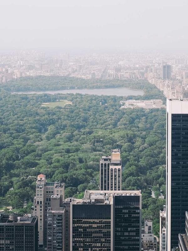 Spider-Man Display Figure