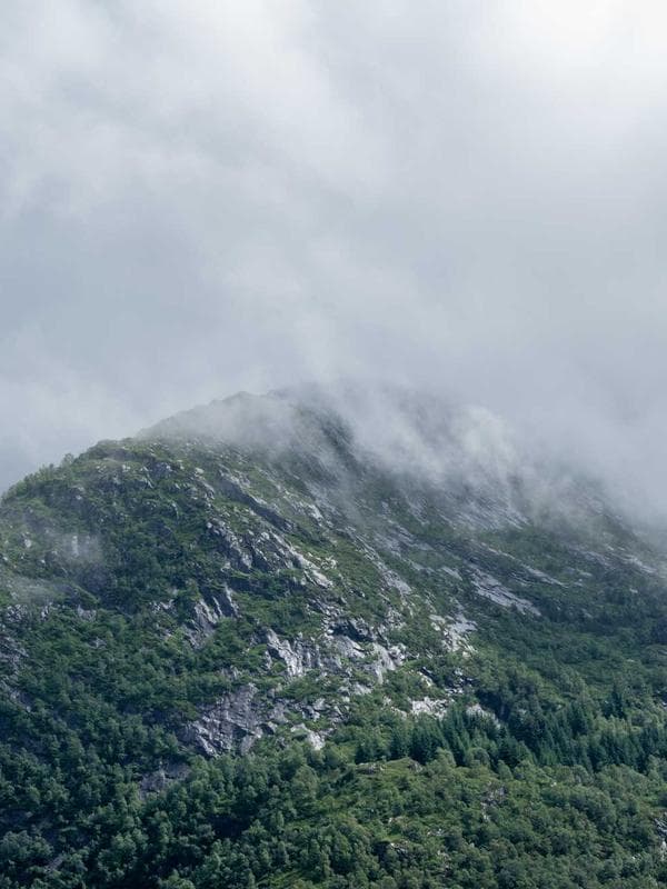 Wolverine vs Sabretooth Diorama